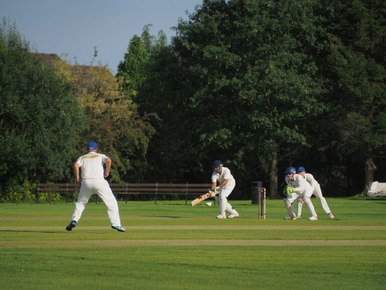 Cricket Art: Indian Cricket’s Impact on Visual Arts